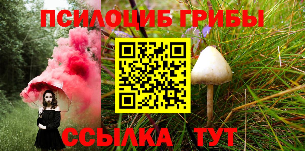 Псилоцибиновые грибы MAGIC MUSHROOMS Пенза